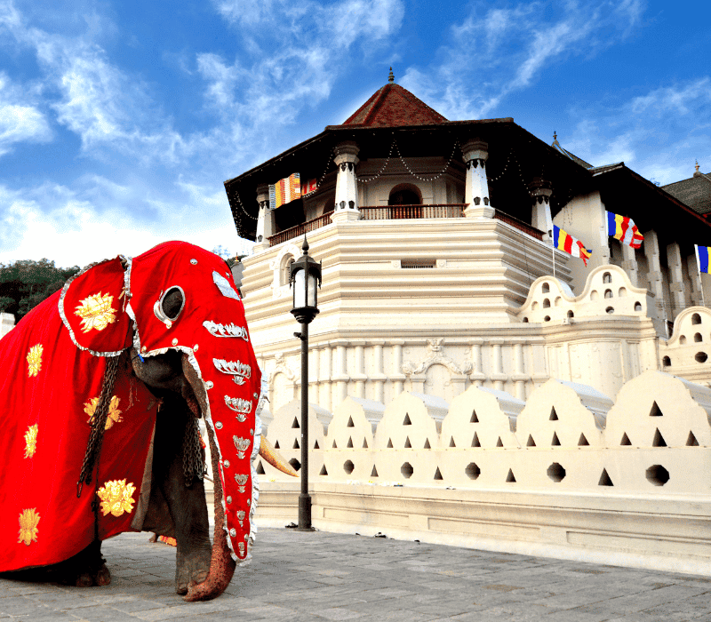 Sri Lanka Tours Package from Bangalore by Flight